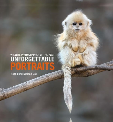 Unforgettable Portraits