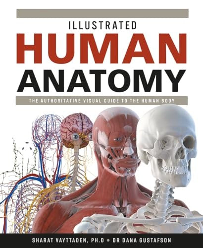 Illustrated Human Anatomy