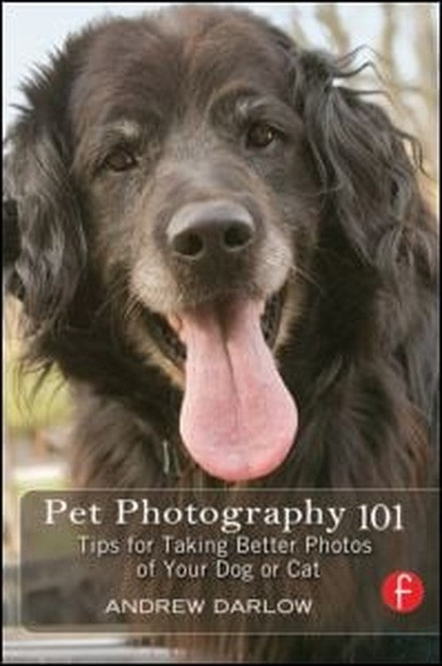 Pet Photography 101