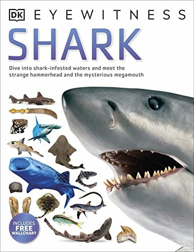 Shark