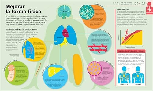 Cómo funciona el cuerpo humano: Guía gráfica de nuestro organismo