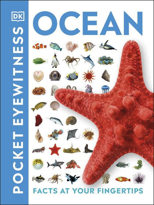 Ocean
