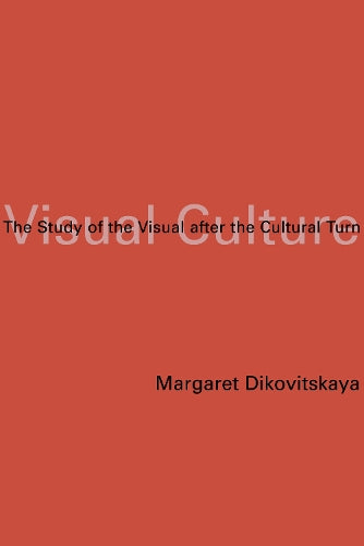 Visual Culture