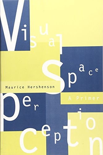 Visual Space Perception