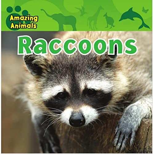 ALL ABOUT ANIMALS RACCOONS