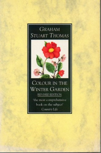 Colour in the Winter Garden