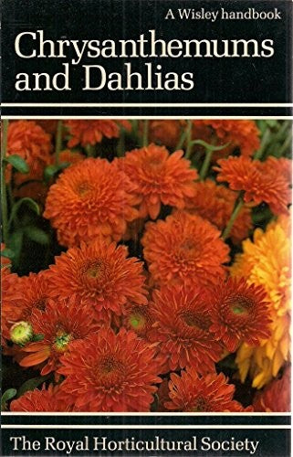 Chrysanthemums and Dahlias
