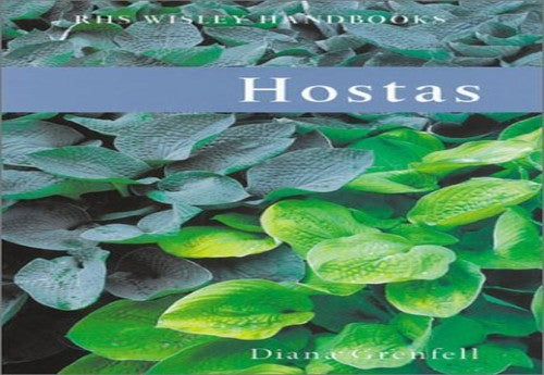 Hostas
