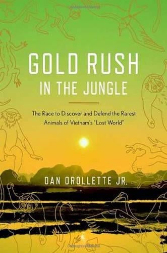 Gold Rush In The Jungle