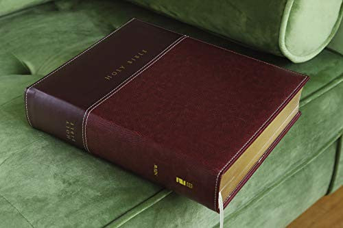 NIV, Family Bible (Keepsake Edition), Leathersoft, Burgundy, Red Letter