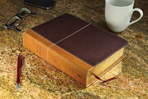 KJV, Amplified, Parallel Bible, Large Print, Leathersoft, Tan/Burgundy, Red Letter