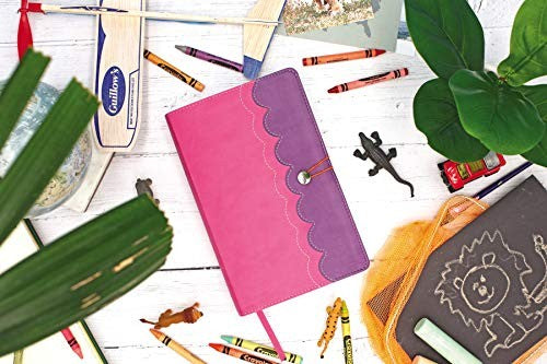 NIrV, Adventure Bible for Early Readers, Leathersoft, Pink/Purple, Full Color
