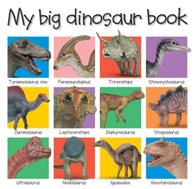 My Big Dinosaur Book
