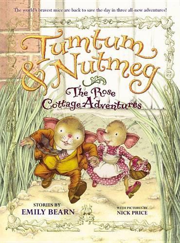 The Tumtum and Nutmeg: the Rose Cottage Tales
