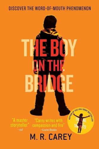 The Boy on the Bridge