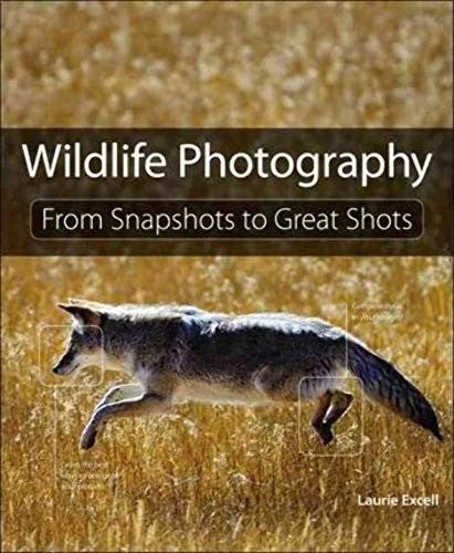 Wildlife Photography