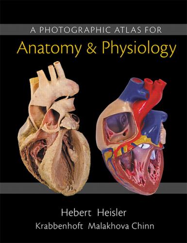 A Photographic Atlas for Anatomy and Physiology