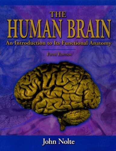 The Human Brain