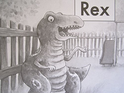 Rex Fountas and Pinnell Leveled Literacy Intervention Books Orange System Level A Book