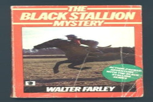Black Stallion Mystery