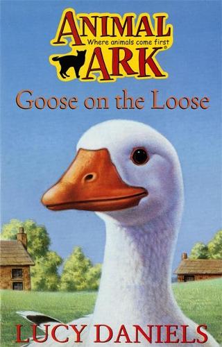 Goose on the Loose