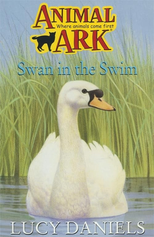 Swan In The Swim
