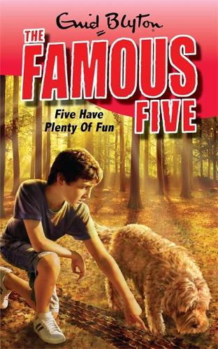 Famous Five: Five Have Plenty Of Fun