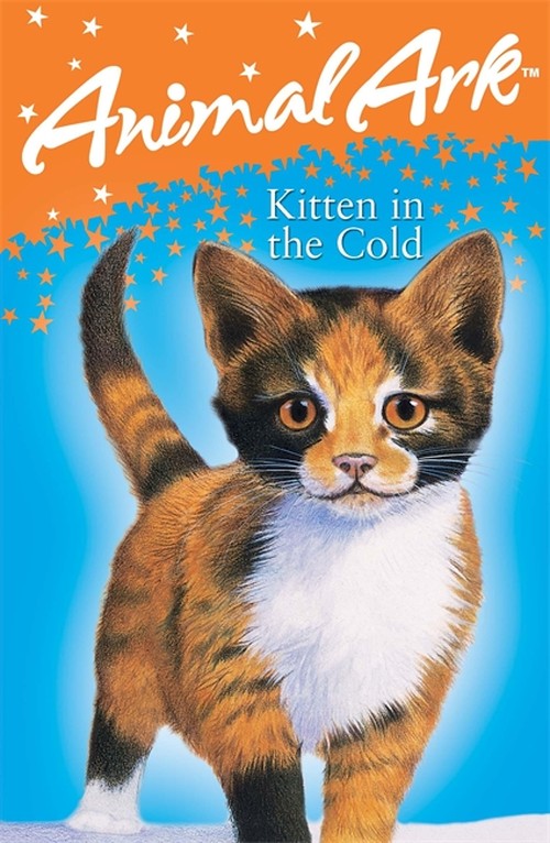Kitten in the Cold