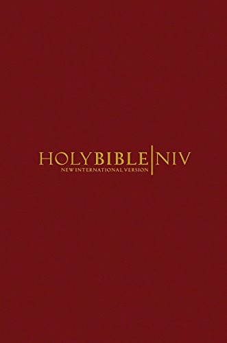 NIV Popular Burgundy Hardback Bible