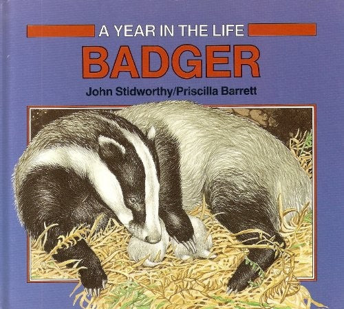 Year in the Life of (A Year in the life)