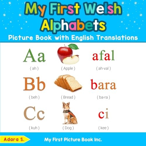 My First Welsh Alphabets Picture Book with English Translations