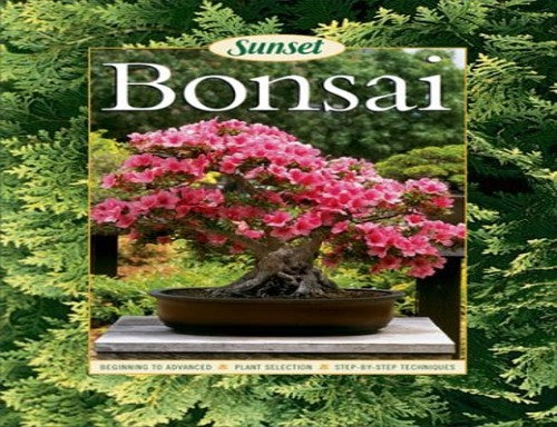 Sunset Bonsai