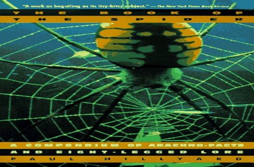 Book of the Spider
