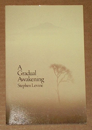 Gradual Awakening