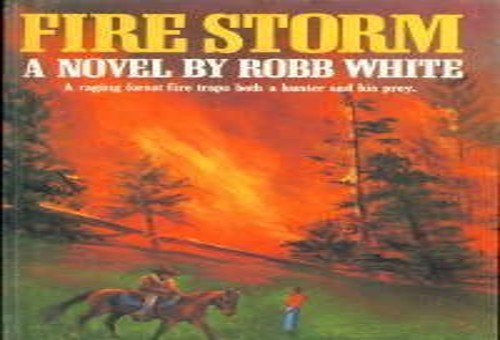 Fire Storm