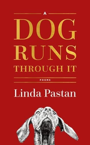 A Dog Runs Through It