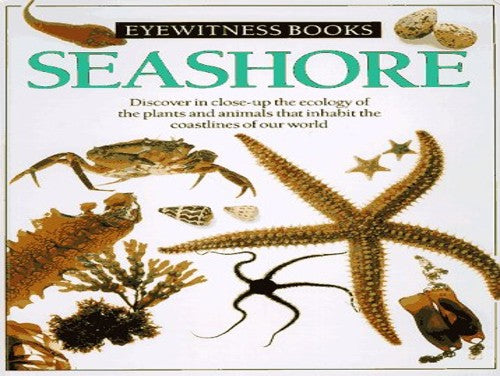 Seashore