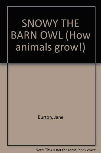 Snowy the Barn Owl