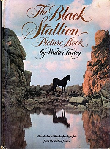 The Black Stallion Picture Book
