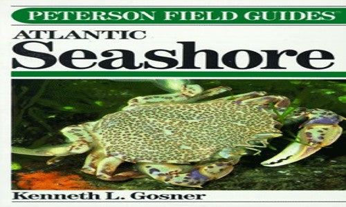 Field Guide to the Atlantic Seashore