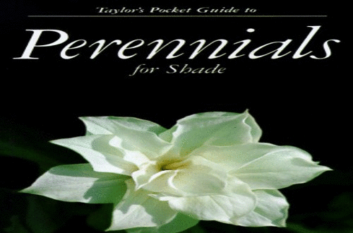 Pocket Guide to Perennials for Shade