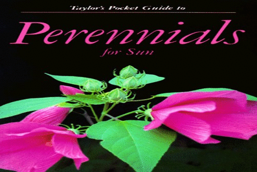 Pocket Guide to Perennials for Sun
