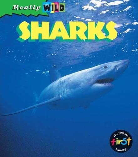 Shark