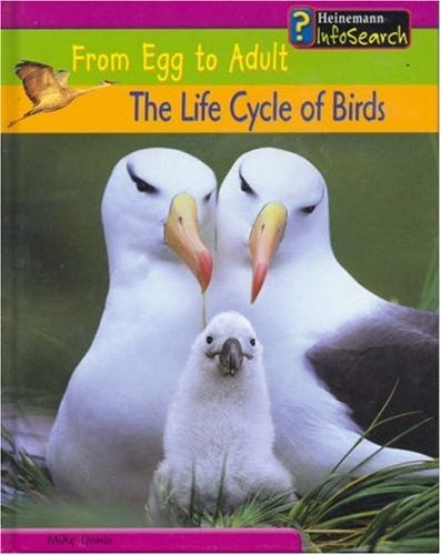 From Egg to Adult: The Life Cycle of Birds