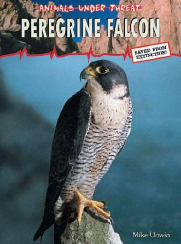 Animals Under Threat: Peregrine Falcon