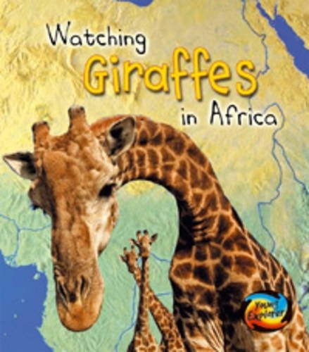 Giraffes in Africa