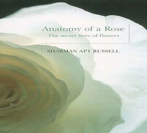 Anatomy of a Rose