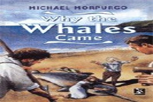 Why The Whales Came