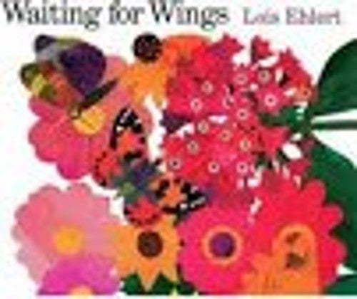 Waiting for wings