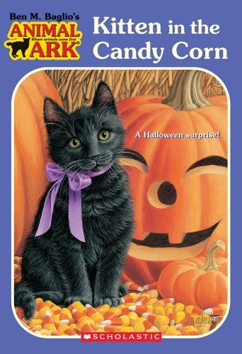 Kitten in the Candycorn